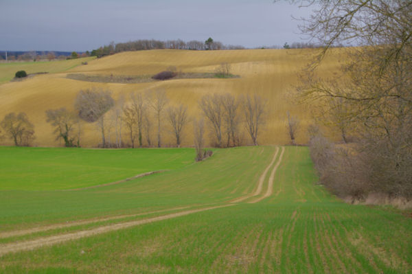 Contrastes du vallon du ruisseau des Pradels