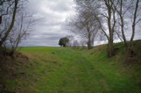 Le chemin apres le cimetiere