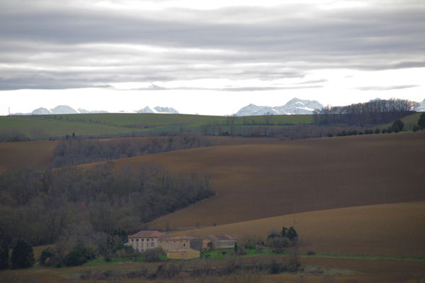 Les Pyrnes emergent de la crte