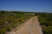 La garrigue de St Pierre