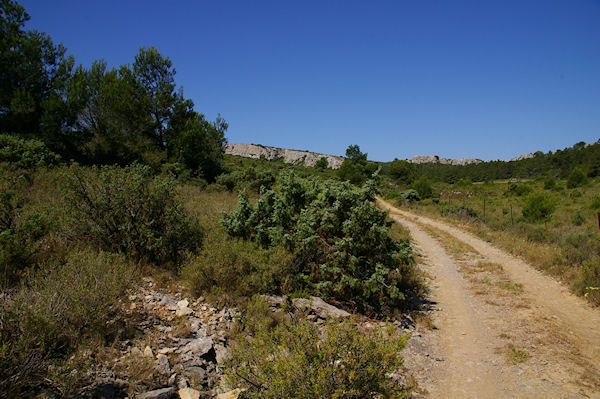 Le chemin aux Rompudes