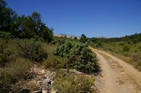 Le chemin aux Rompudes