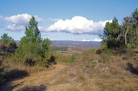 La vallee de la Lauze depuis le Trapadous