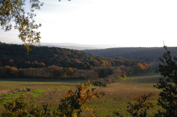 Le vallon du Rossignol