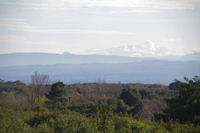 L_excroissance du Pech de Bugarach et le Pic du Canigou dans les nuages depuis les Trapadous