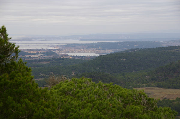 Gruissan depuis la Tour de Surveillance Incendie  La Vigie