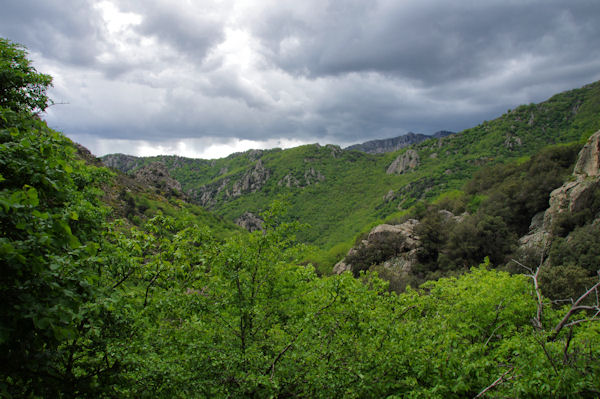 Le vallon du ruisseau du Soumal