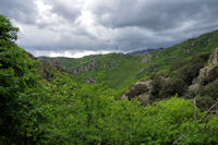 Le vallon du ruisseau du Soumal