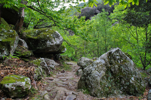 Le chemin menant au Col de l_Airole