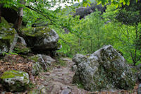 Le chemin menant au Col de l'Airole