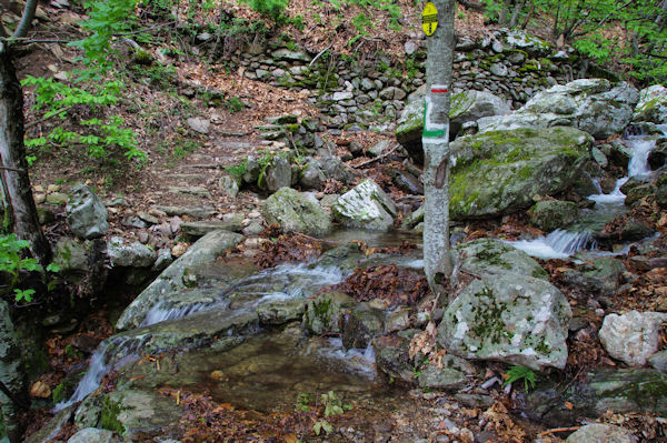 Passage  gu sur un ruisseau descendant du Roc de Caroux