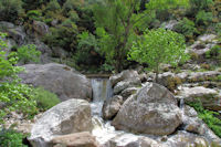 Cascades sur le ruisseau d'Heric