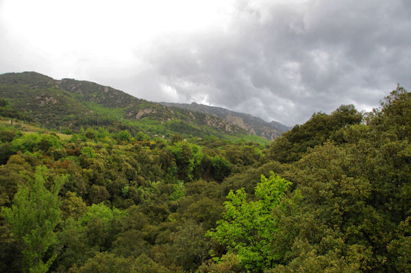 Au fond, le Roc de Caroux