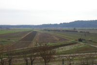 L'etang depuis Montady