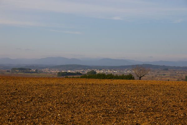 Puisserguier, au fond, les Monts du Somail