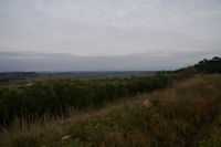 Au fond, la verdure de l'tang de Montady