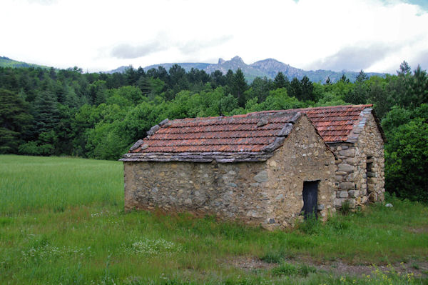 Des jumelles! au fond, le Montahut