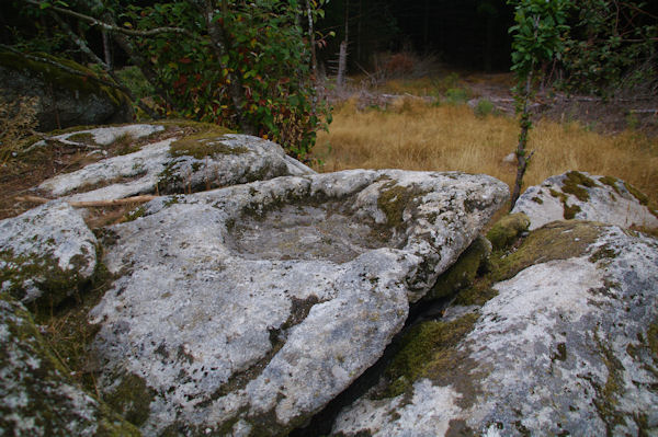 Un bnitier creus dans le roc au Rec del Bosc