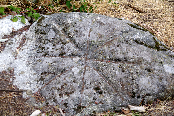 Gravures rupestres au Rec del Bosc