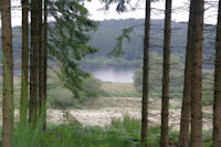 Un laquet aux Landes