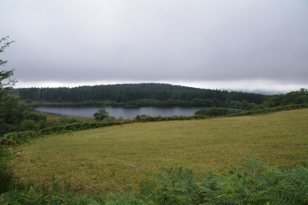 Un laquet aux Landes