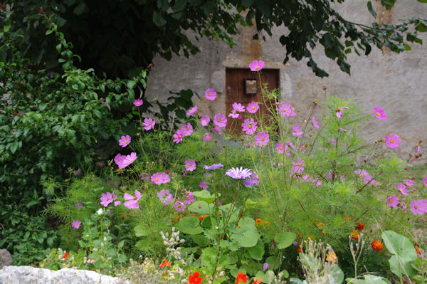 Parterre fleuri  Cas