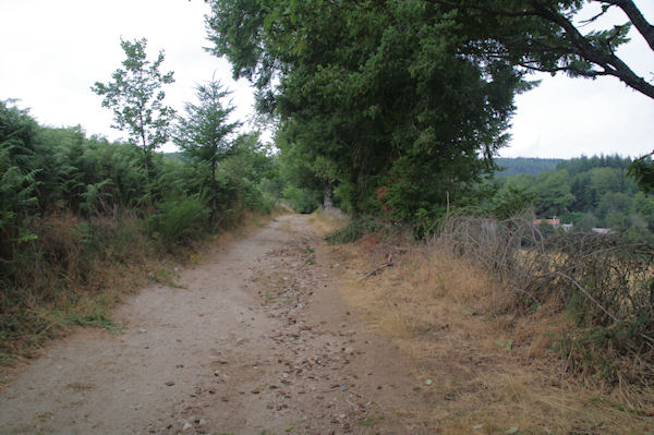 Le chemin vers Le Pioch