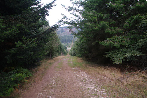 En descendant vers le Col de la Frajure