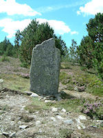 Un menhir sous le Mt Aigual