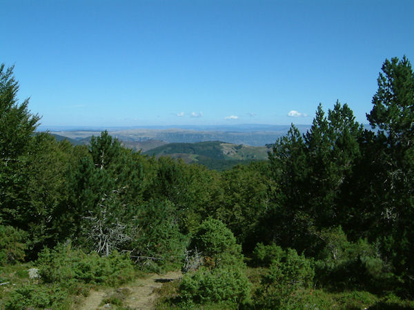 Sous le Mt Aigoual, vers Pey-Rase