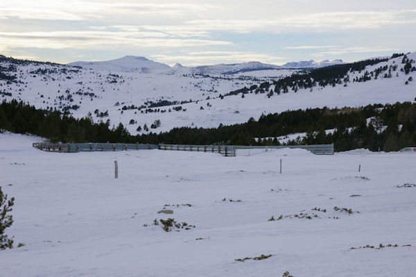 Au fond, on apperoit le dbonnaire Pic Pdros et le Pic de Camp Colomer plus pointu