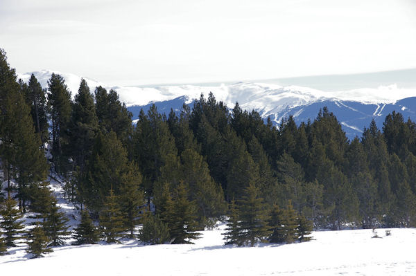 Vers la Barraca dels Claus, au fond, la station d_Eyne surmonte par la Cambra d_Ase