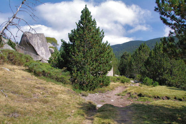 La valle suprieure de la Rivire d_Angoustrine, au fond, le Roc de la Calma