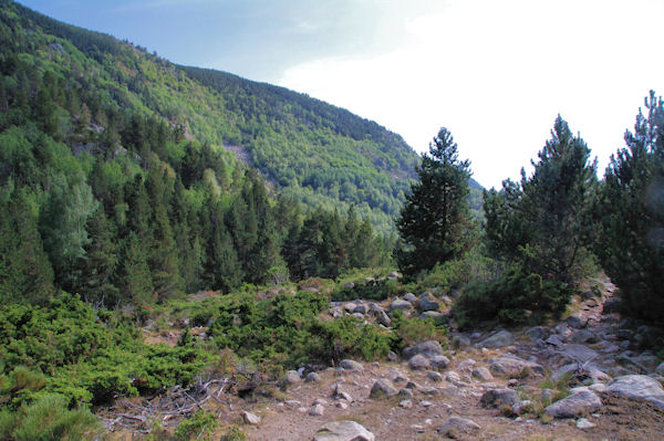 Sous le Puig del Cap de l_Home