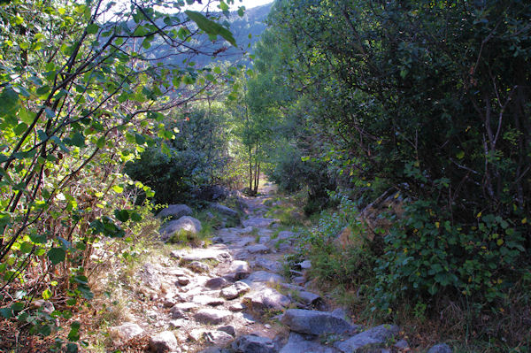 Le chemin dall prs de la chapelle Sant Marti d_Envalls