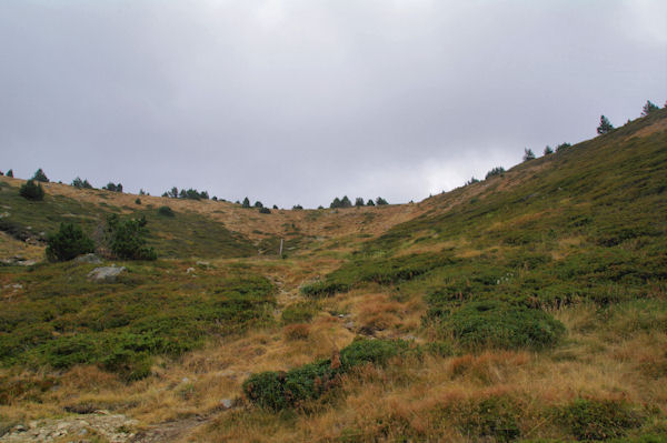 La partie suprieure du vallon de Font Freda