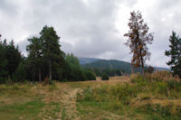 Le bas de la piste Baby de la station du Cambre d'Ase