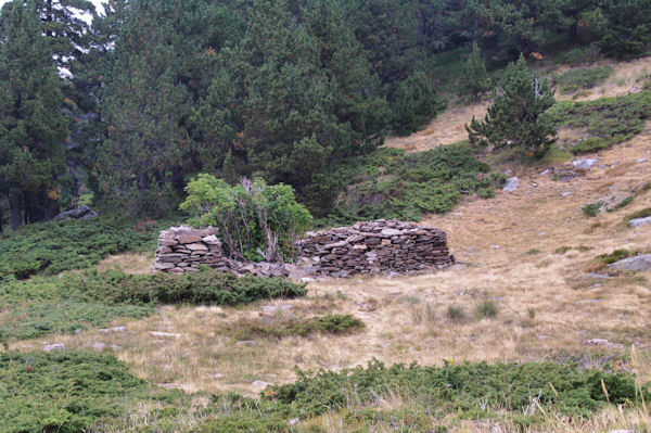 Ruine  La Souche