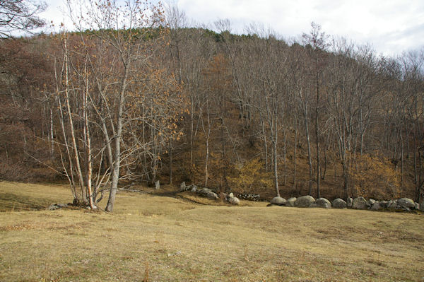 La prairie aux Anglades