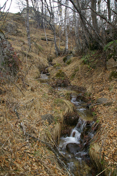 Le ruisseau de Brangoli