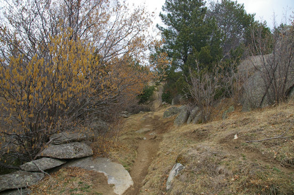 En arrivant au Coll de Juell