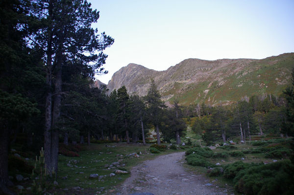 Au petit matin sur le GR36, le Canigou au fond