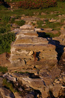 La Fontaine de la Perdrix