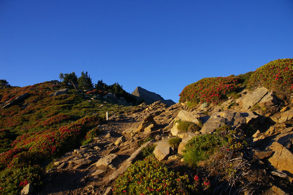 Sous le Pic Joffre on apperoit le Canigou