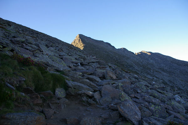 Les pentes raides et rocailleuses de la face Nord du Canigou