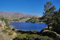 L_Estany de la Comassa