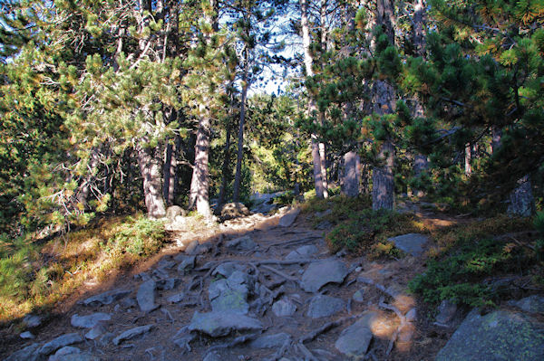 En montant vers l_Estany Negre