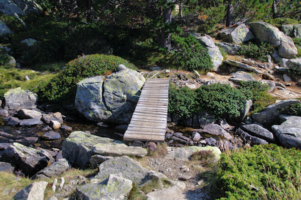 Petit pont sous l_Estany de les Dugues