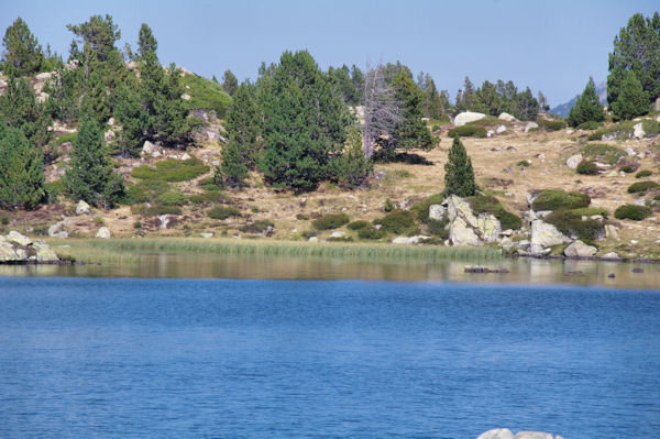 L_Estany de les Dugues