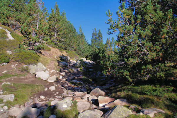 En montant vers l_Estany Negre